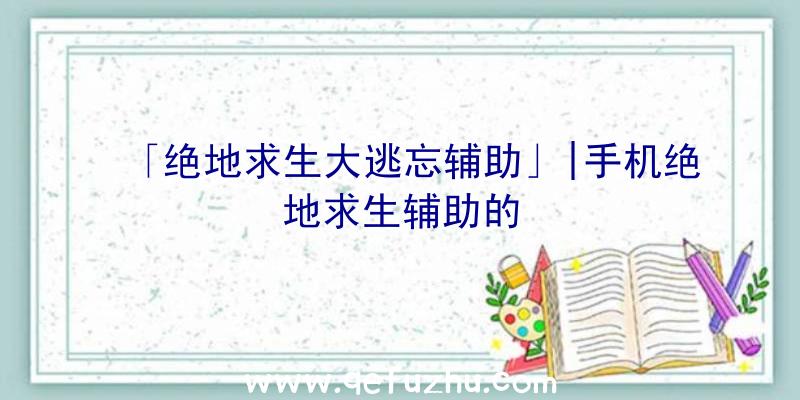 「绝地求生大逃忘辅助」|手机绝地求生辅助的